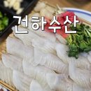 경기광주 횟집 건하수산 낮술(갑오징어회, 고랑치)