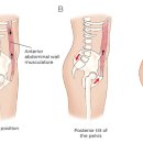 허리나 연구소 이미지