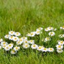 동의명가한의원 이미지