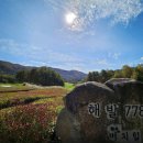 용평 버치힐골프클럽 | 강원도골프여행 용평CC 버치힐CC 2색 1박2일 골프패키지