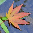 남부수자원생태공원 이미지