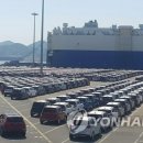 전남서부항운노동조합 이미지