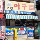도로시파스타연정부천