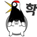 드림핏 이미지