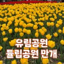 성저공원(관리사 옆) | 대전 유림공원 튤립 만개, 토요일 방문 후기 (사람 많음 주의)