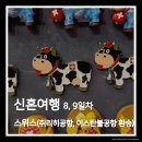 9.9치킨호프 | 이탈리아, 스위스 신혼여행 8일차, 9일차. 스위스 기차로 취리히 공항 이동, 이스탄불 공항 환승 후기