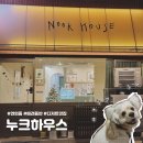 아시아드경기장역 | 인천 연희동 애견동반 카페 | 아시아드경기장역 근처 디저트 맛집 누크하우스 방문 후기