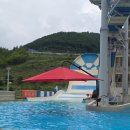 월드 | 하이원 워터월드 후기 11살 아이와 다녀온 정선 워터파크 내돈내산