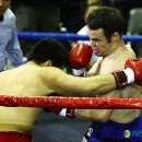 동부신도 복싱체육관 이미지