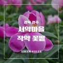 서당마을 | [경주 가볼 만한 곳] 5월 작약 절정! 꽃도 마을도 예뻤던 서악마을 산책 후기