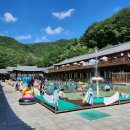 (주)잡으리 | 장흥 한옥 수영장 방문후기