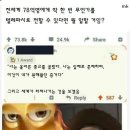 텔레파시 이미지