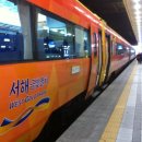 금빛나라 이미지
