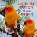 항구PC 이미지