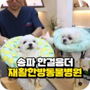 백제동물병원 이미지