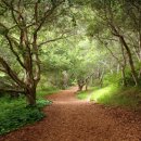 아동심리상담사 이미지