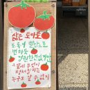 트윈스네일&속눈썹 | 슬기로운 고3 생활
