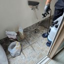 그린라인 | 금산방역업체 그린라인 원룸 건물 식당 바퀴벌레 방역 후기