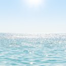 엘리시안강촌수영장 이미지