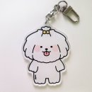 꼬솜 쇼핑하우