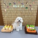 아이멍그라운드 이미지