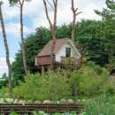 양양 스테이나무 이미지