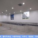 호세요양원 Daum카페