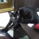 난향동-6 이미지