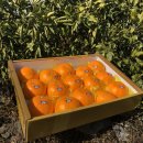 민우네농장 이미지