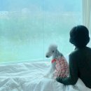 리버카라반 이미지