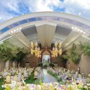 건양한의원 | 대전 웨딩홀 투어 후기 | 밝은 홀