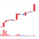 보성홀딩스 이미지