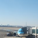 1256 | KE1085 KE1256 김포 제주 대한항공 a321네오 후기(꿀팁)