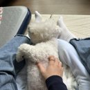 의욕제로 컨트리와 의욕1정도의 나