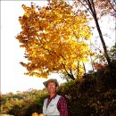 쇠골농장 이미지