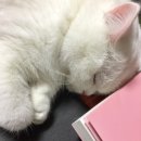 우리공작소 네이버블로그