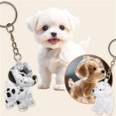 달강아지 이미지