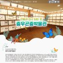 한생연인간과로봇과학관 | 전국과학관 e소식 특집호에 충우곤충박물관이 소개되었습니다!