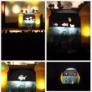 무지개 물고기 이미지