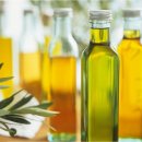 올리브독 이미지