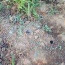 우리들 세상 이미지