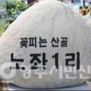 노좌1리 이미지
