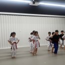 움찬태권도장 이미지