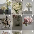 올로르플라워OlorFlower
