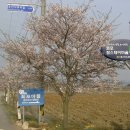 참샘골농장 이미지