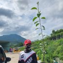 진홍농장 이미지