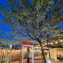 이루다식당 이미지