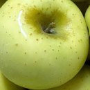 진가네농장 이미지