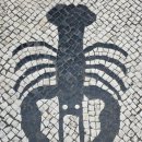 11500-5-22-04 | [Ep.04] 홍콩 마카오 5박 6일 여행 🇭🇰🇲🇴