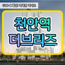 더브리즈 이미지